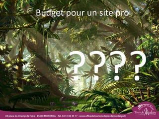 Budget pour un site pro
????
 