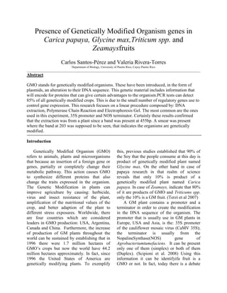 Presence of Genetically Modified Organism genes in Carica papaya, Glycine max, Triticum spp. and Zea mays fruits<br />Carlos Santos-Pérez and Valeria Rivera-Torres<br />Department of Biology, University of Puerto Rico, Cayey Puerto Rico<br />_____________________________________________________________________________________________________________________<br />Abstract<br />GMO stands for genetically modified organisms. These have been introduced, in the form of plasmids, an alteration to their DNA sequence. This genetic material includes information that will encode for proteins that can give certain advantages to the organism. PCR tests can detect 85% of all genetically modified crops. This is due to the small number of regulatory genes use to control gene expression. This research focuses on a linear procedure composed by: DNA extraction, Polymerase Chain Reaction and Electrophoresis Gel. The most common are the ones used in this experiment, 35S promoter and NOS terminator. Certainly these results confirmed that the extraction was from a plant since a band was present at 455bp. A smear was present where the band at 203 was supposed to be seen, that indicates the organisms are genetically modified.<br />Introduction<br />Genetically Modified Organism (GMO) refers to animals, plants and microorganisms that because an insertion of a foreign gene or genes, partially or completely change their metabolic pathway. This action causes GMO to synthesize different proteins that also change the traits expressed in the organism. The Genetic Modification in plants can improve agriculture by causing: herbicide, virus and insect resistance of the plant, amplification of the nutritional values of the crop, and better adaption of the plant to different stress exposures. Worldwide, there are four countries which are considered leaders in GMO production: USA, Argentina, Canada and China.  Furthermore, the increase of production of GM plants throughout the world can be sustained by establishing that in 1996 there were 1.7 million hectares of GMO’s crops but now the world have 44.2 million hectares approximately. In fact, since 1996 the United States of America are genetically modifying plants. To exemplify this, previous studies established that 90% of the Soy that the people consume at this day is product of genetically modified plant named Glycine max. On the other hand in case of papaya research in that realm of science reveals that only 10% is product of a genetically modified plant named Carica papaya. In case of Zea mays, indicate that 80% of it are products of GMO and Triticums spp. only the 10% is a GM fruit. (Terzi et al 2007)<br />A GM plant contains a promoter and a terminator in order to create the modification in the DNA sequence of the organism. The promoter that is usually use in GM plants in Europe, USA and Asia, is the: 35S promoter of the cauliflower mosaic virus (CaMV 35S); the terminator is usually from the Nopaline Synthase (NOS) gene of Agrobacterium tumefaciens.  It can be present only one of them (simplex) or both of them (Duplex). (Scipioni et al. 2008) Using this information it can be identify if a fruit is a GMO or not. In fact, today there is a debate about the commercial identification of these products. In the United States of America there is no regulation about labeling the GM plants product but some organizations want producers to identified if the product is genetically modified or not. A possible solution to this could be the use of ELISA or PCR in order to identify if the fruit is product of a GM plant. The use of ELISA represents a problem. ELISA is an antibody-based test and because of that ELISA can only tests fresh food. This is because of the problem that represents the fast degradation of the protein. In addition, ELISA has to be individualized to every single crop. That is the reason of why PCR is the preferred technique to identify GM plants. The objective is to extract the DNA of papaya, soy, whole corn and wheat and determine whether soy, papaya, corn or wheat is genetically modified products. Because of the literature research it can be expected that papaya and wheat will not be product of a GM plant while soy and corn can be a product of a GM plant. (BioRad® manual, 2010) <br />Material and Methods<br />Introduction<br />The samples were divided into two researchers. One of the researchers worked with Carica papaya and Glycine Max while the other worked with Zea mays and Trititcum spp. <br />Extraction of DNA<br />,[object Object], Polymerase Chain Reaction<br />Each investigator used their samples and conducted PCR.  In order to amplify the DNA, the DNA extraction of the respective samples it had to be exposed to PCR. Eight Eppendorf tubes were used to place the control samples and the experimental samples. Also it was used two Eppendorf tubes for the Master-mixes. These two Master-mixes had all the principal ingredients to amplify and replicate the DNA. It had distilled water, Taq Polymerase, one of two primers that are: Green Molecular Mark and Red Molecular Mark. Also these two Master-mixes had Nitrogen Bases, 10X PCR Buffer and Magnesium Chloride. It was used two different primers because the Plant Molecular Marker primer defined if the product it was really a plant. This marker identifies and replicates a gene of the chloroplast specifically in the Photosystem II of the plant. On the other hand, the Genetically Modified Molecular Marker primer identifies and replicates the promoter CaMV 35S and/or the terminator NOS (Red Primer). <br />PCR material was set up as follows:<br />,[object Object]