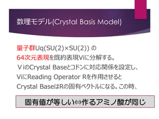 数理モデル(Crystal Basis Model)
量子群Uq(SU(2)×SU(2)) の
64次元表現を既約表現Viに分解する。
ＶiのCrystal Baseとコドンに対応関係を設定し、
ViにReading Operator Rを作用させると
Crystal BaseはRの固有ベクトルになる。この時、
固有値が等しい⇔作るアミノ酸が同じ
 