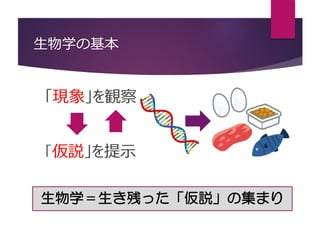 生物学の基本
「現象」を観察
「仮説」を提示
生物学＝生き残った「仮説」の集まり
 
