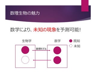 数理生物の魅力
数学により、未知の現象を予測可能!
生物学 数学 既知
未知
数理モデル
 