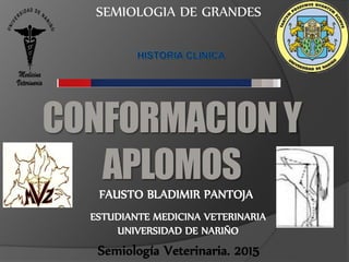 SEMIOLOGIA DE GRANDES
FAUSTO BLADIMIR PANTOJA
Semiología Veterinaria. 2015
ESTUDIANTE MEDICINA VETERINARIA
UNIVERSIDAD DE NARIÑO
CONFORMACIONY
APLOMOS
 