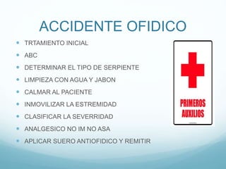 ACCIDENTE OFIDICO
 TRTAMIENTO INICIAL
 ABC
 DETERMINAR EL TIPO DE SERPIENTE
 LIMPIEZA CON AGUA Y JABON
 CALMAR AL PACIENTE
 INMOVILIZAR LA ESTREMIDAD
 CLASIFICAR LA SEVERRIDAD
 ANALGESICO NO IM NO ASA
 APLICAR SUERO ANTIOFIDICO Y REMITIR
 