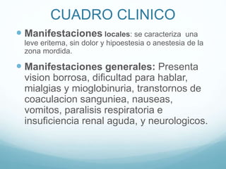 CUADRO CLINICO
 Manifestaciones locales: se caracteriza una
leve eritema, sin dolor y hipoestesia o anestesia de la
zona mordida.
 Manifestaciones generales: Presenta
vision borrosa, dificultad para hablar,
mialgias y mioglobinuria, transtornos de
coaculacion sanguniea, nauseas,
vomitos, paralisis respiratoria e
insuficiencia renal aguda, y neurologicos.
 