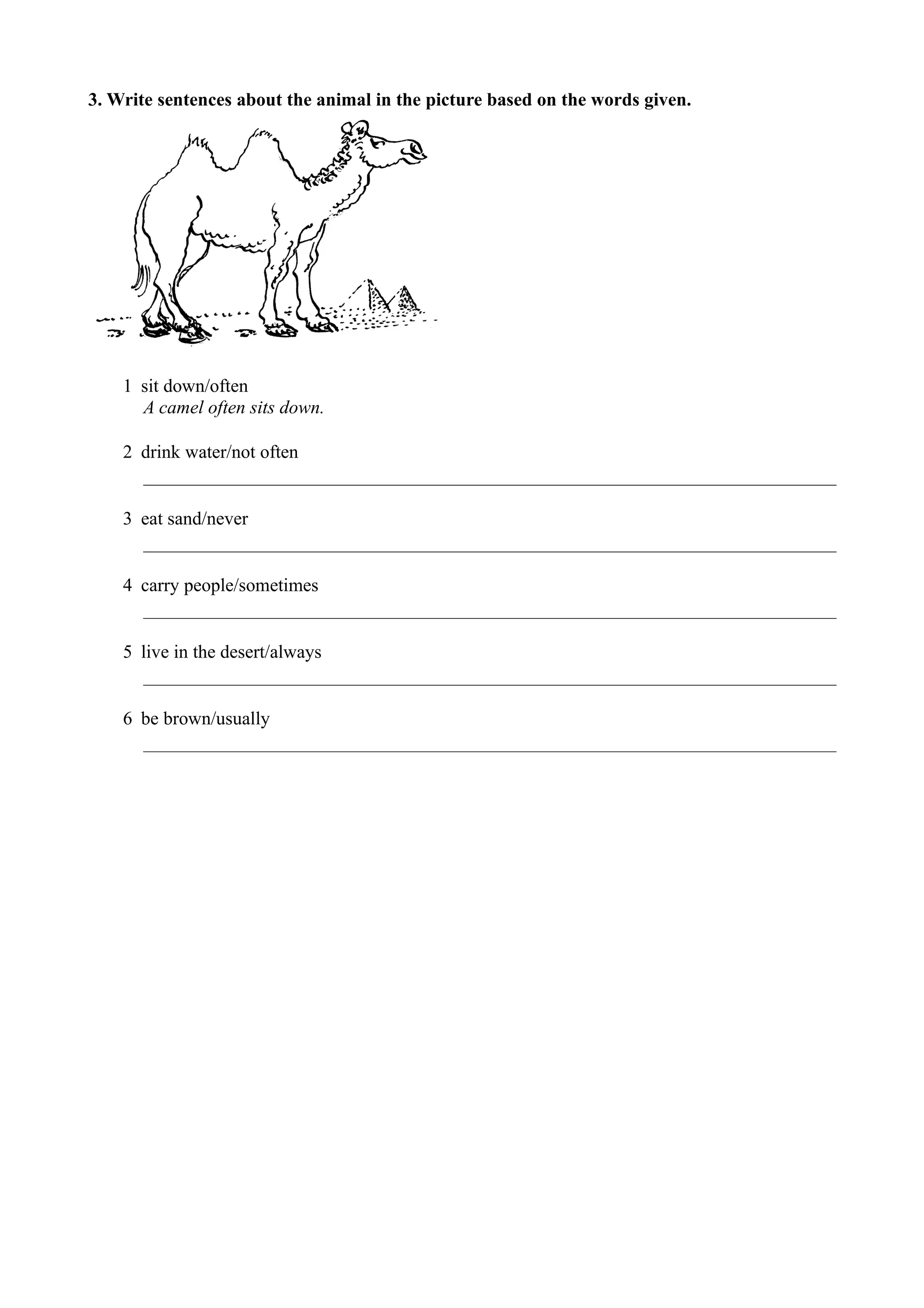 3. Write sentences about the animal in the picture based on the words given.
1 sit down/often
A camel often sits down.
2 drink water/not often
3 eat sand/never
4 carry people/sometimes
5 live in the desert/always
6 be brown/usually