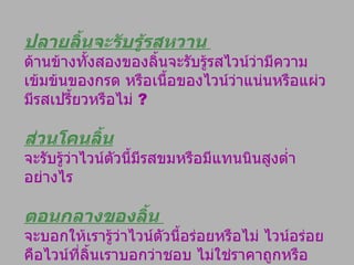 ปลายลิ้นจะรับรู้รสหวาน   ด้านข้างทั้งสองของลิ้นจะรับรู้รสไวน์ว่ามีความเข้มข้นของกรด หรือเนื้อของไวน์ว่าแน่นหรือแผ่ว มีรสเปรี้ยวหรือไม่   ?  ส่วนโคนลิ้น จะรับรู้ว่าไวน์ตัวนี้มีรสขมหรือมีแทนนินสูงต่ำอย่างไร  ตอนกลางของลิ้น  จะบอกให้เรารู้ว่าไวน์ตัวนี้อร่อยหรือไม่ ไวน์อร่อยคือไวน์ที่ลิ้นเราบอกว่าชอบ ไม่ใช่ราคาถูกหรือแพง ไม่ใช่เพราะนักชิมไวน์บอกว่าอร่อย หรือเห่อตามพรรคพวก 