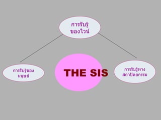 การรับรู้ของไวน์ การรับรู้ของมนุษย์ การรับรู้ทางสถาปัตยกรรม THE SIS 