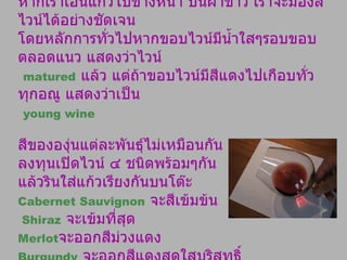 หากเราเอนแก้วไปข้างหน้า บนผ้าขาว เราจะมองสีไวน์ได้อย่างชัดเจน  โดยหลักการทั่วไปหากขอบไวน์มีน้ำใสๆรอบขอบ ตลอดแนว แสดงว่าไวน์ matured   แล้ว แต่ถ้าขอบไวน์มีสีแดงไปเกือบทั่วทุกอณู แสดงว่าเป็น young wine สีขององุ่นแต่ละพันธุ์ไม่เหมือนกัน ควรทดลองลงทุนเปิดไวน์ ๔ ชนิดพร้อมๆกัน  แล้วรินใส่แก้วเรียงกันบนโต๊ะ  Cabernet Sauvignon   จะสีเข้มข้น Shiraz   จะเข้มที่สุด Merlot จะออกสีม่วงแดง  Burgundy   จะออกสีแดงสดใสบริสุทธิ์  