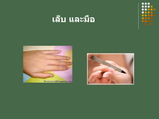 เล็บ และมือ 