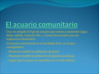 Una vez elegido el tipo de acuario que vamos a mantener (agua dulce, salada, tropical, fría…), hemos de armarlo con sus respectivos elementos. El acuario comunitario es el resultado final, en el que conseguimos: Mantener estable la población de peces. Mantener estable la población de plantas acuáticas. Lograr que los peces se reproduzcan en este hábitat. 