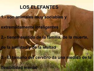 LOS ELEFANTES

1.- son animales muy sociables y

extremadamente inteligentes

2.- tienen sentido de la familia, de la muerte,

de la amistad y de la lealtad

3.- El tamaño del cerebro da una medida de la

flexibilidad mental
 