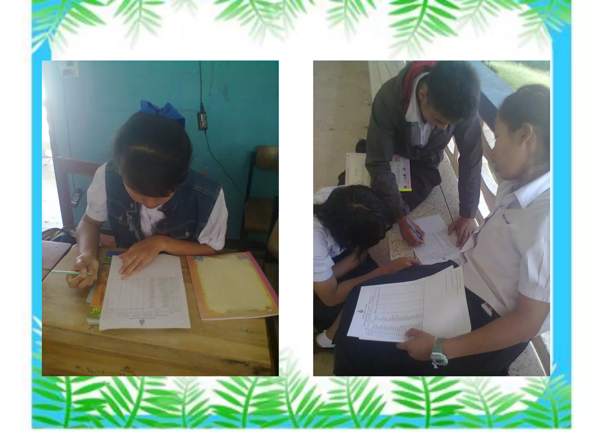 Present โครงงานคอมพิวเตอร์ สื่อออนไลน์พืชสมุนไพรเพื่อสุขภาพ