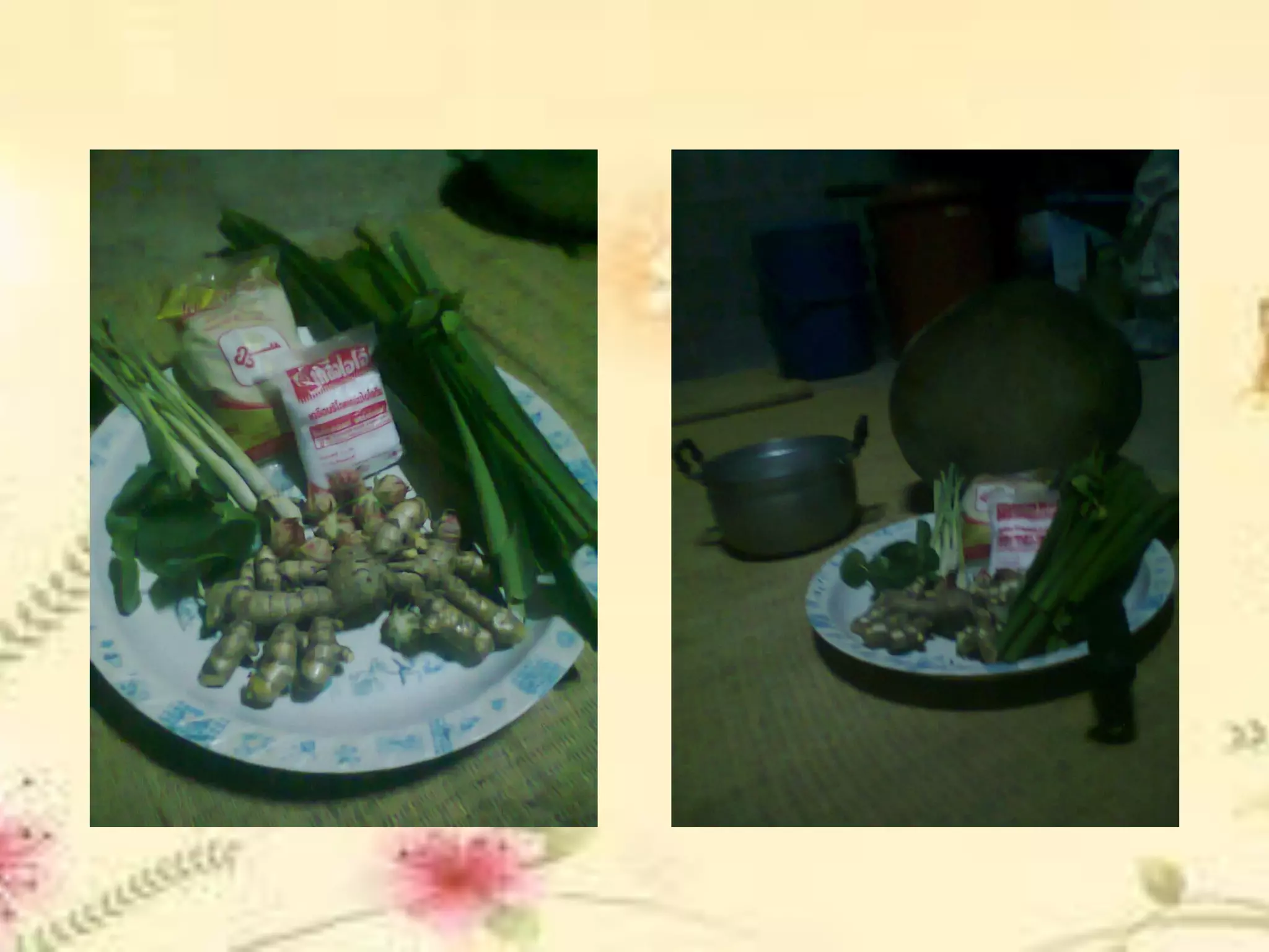 Present โครงงานคอมพิวเตอร์ สื่อออนไลน์พืชสมุนไพรเพื่อสุขภาพ