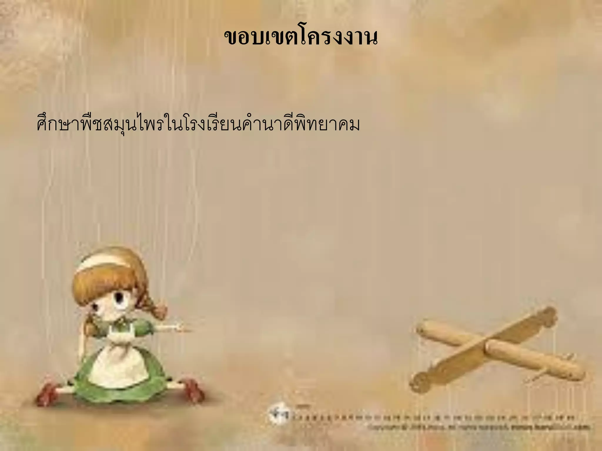 ขอบเขตโครงงาน

ศึกษาพืชสมุนไพรในโรงเรี ยนคานาดีพิทยาคม
 