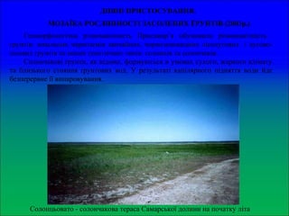 ДИВНІ ПРИСТОСУВАННЯ.
МОЗАЇКА РОСЛИННОСТІ ЗАСОЛЕНИХ ґРУНТІВ (2003р.)
Геоморфологічна різноманітність Присамар’я обумовила різноманітність
ґрунтів: зональних чорноземів звичайних, чорноземовидних лісолугових і лугово-
лісових ґрунтів та інших генетичних типів: солонців та солончаків.
Солончакові ґрунти, як відомо, формуються в умовах сухого, жаркого клімату
та близького стояння ґрунтових вод. У результаті капілярного підняття води йде
безперервне її випаровування.
Солонцьовато - солончакова тераса Самарської долини на початку літа
 