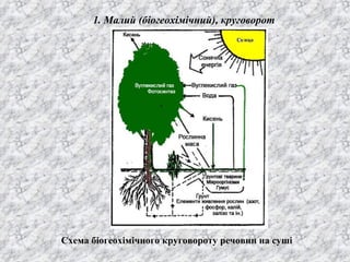 1. Малий (біогеохімічний), круговорот
Схема біогеохімічного круговороту речовин на суші
 