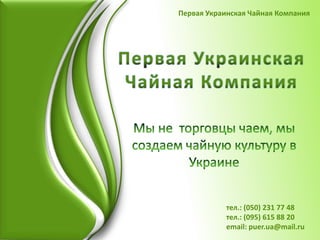 Первая Украинская Чайная Компания

тел.: (050) 231 77 48
тел.: (095) 615 88 20
email: puer.ua@mail.ru

 