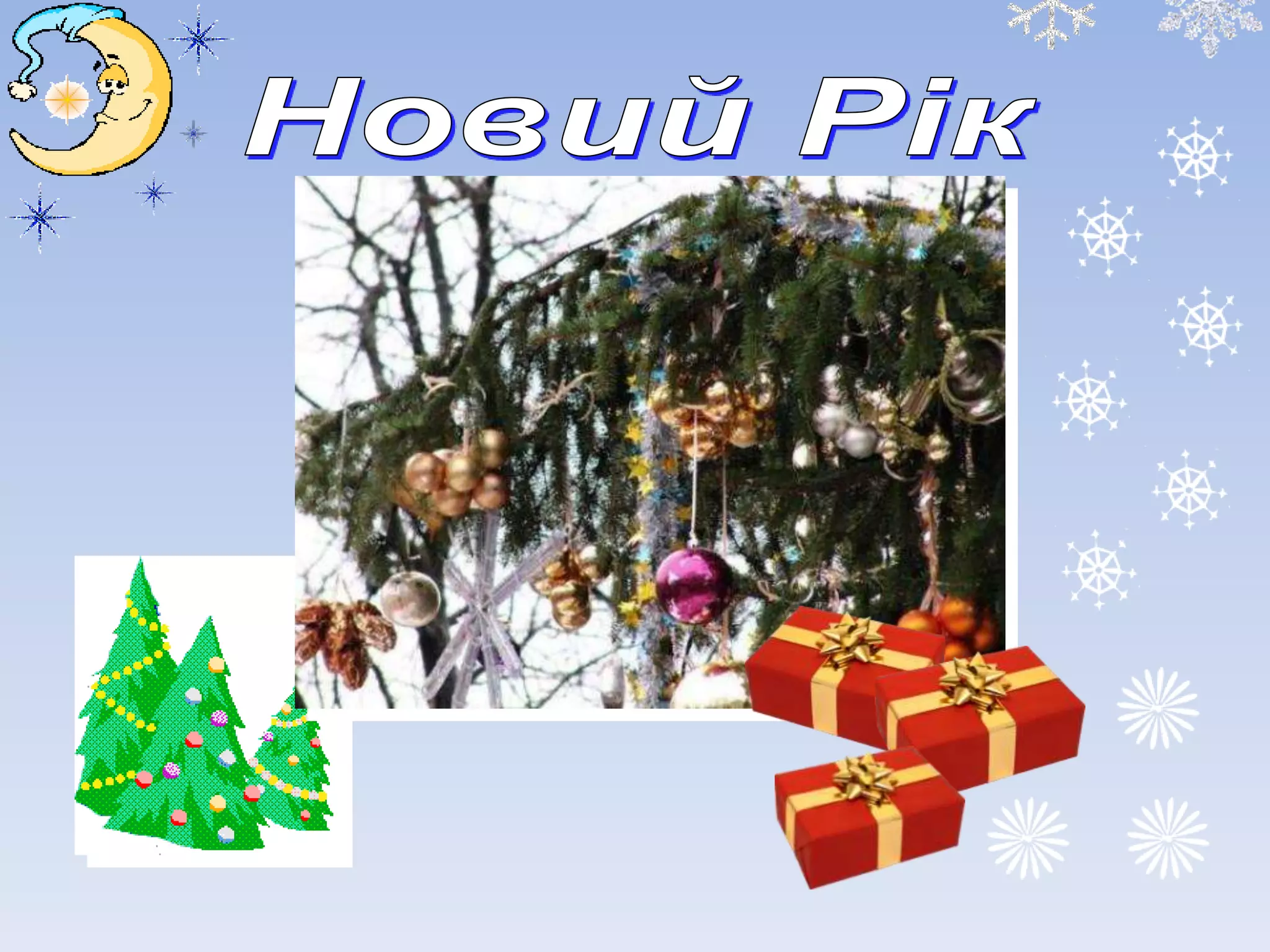 Зимовий вернісаж