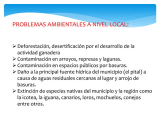 PROBLEMAS AMBIENTALES A NIVEL LOCAL:
Deforestación, desertificación por el desarrollo de la
actividad ganadera
Contaminación en arroyos, represas y lagunas.
Contaminación en espacios públicos por basuras.
Daño a la principal fuente hídrica del municipio (el pital) a
causa de aguas residuales cercanas al lugar y arrojo de
basuras.
Extinción de especies nativas del municipio y la región como
la icotea, la iguana, canarios, loros, mochuelos, conejos
entre otros.
 