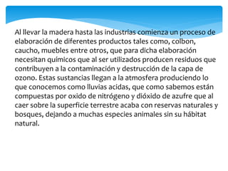 Al llevar la madera hasta las industrias comienza un proceso de
elaboración de diferentes productos tales como, colbon,
caucho, muebles entre otros, que para dicha elaboración
necesitan químicos que al ser utilizados producen residuos que
contribuyen a la contaminación y destrucción de la capa de
ozono. Estas sustancias llegan a la atmosfera produciendo lo
que conocemos como lluvias acidas, que como sabemos están
compuestas por oxido de nitrógeno y dióxido de azufre que al
caer sobre la superficie terrestre acaba con reservas naturales y
bosques, dejando a muchas especies animales sin su hábitat
natural.
 
