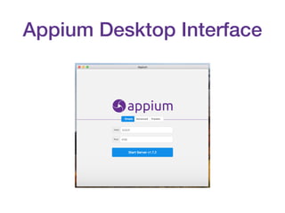 Appium Desktop Interface
 
