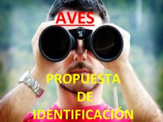 AVES
PROPUESTA
DE
IDENTIFICACIÓN
 