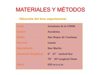 MATERIALES Y MÉTODOS
Ubicación del área experimental.
Fundo Aucaloma de la UNSM.
Caserío Aucaloma
Distrito San Roque de Cumbaza
Provincia Lamas
Departamento San Martín.
Coordenas Geográficas 6° 27’ Latitud Sur
76° 30’ Longitud Oeste
Altitud 650 m.s.n.m.
 