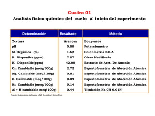 Fuente : Laboratorio de Suelos UNA “La Molina”. Lima Perú
Cuadro 01
Analisis físico-químico del suelo al inicio del experimento
Determinación Resultado Método
Textura
pH
M. Orgánica (%)
P. Disponible (ppm)
K. Disponible(ppm)
Ca. Cambiable (meq/100g)
Mg. Cambiable (meq/100g)
K Cambiable (meq/100g)
Na Cambiable (meq/100g)
Al + H cambiable meq/100g)
Arenosa
5.00
1.62
7.57
42.00
2.72
0.81
0.09
0.14
0.44
Bouyoucos
Potenciometro
Colorimetría E.E.A
Olsen Modificado
Extracto de Acet. De Amonio
Espectofometría de Absorción Atomica
Espectofometría de Absorción Atomica
Espectofometría de Absorción Atomica
Espectofometría de Absorción Atomica
Titulación Na OH 0.01N
 
