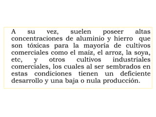 A su vez, suelen poseer altas
concentraciones de aluminio y hierro que
son tóxicas para la mayoría de cultivos
comerciales como el maíz, el arroz, la soya,
etc, y otros cultivos industriales
comerciales, los cuales al ser sembrados en
estas condiciones tienen un deficiente
desarrollo y una baja o nula producción.
 