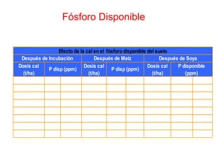 Fósforo Disponible
Dosis cal
(t/ha)
Dosis cal
(t/ha)
Dosis cal
(t/ha)
2.5(T6) 7.1 a 0.0(T1) 8.00 a 2.5(T6) 6.8 a
1.0(T3) 6.9 a 2.5(T6) 6.90 a 3.0(T7) 5.2 ab
1.5(T4) 6.5 a 0.5(T2) 6.70 a 2.0(T5) 4.9 ab
0.0(T1) 6.5 a 3.5(T8) 6.50 a 0.5(T2) 4.5 ab
0.5(T2) 5.6 a 2.0(T5) 5.40 a 0.0(T1) 4.4 ab
2.0(T5) 5.6 a 3.0(T7) 5.00 a 4.0(T9) 4.3 ab
4.0(T9) 5.6 a 4.0(T9) 4.90 a 3.5(T8) 4.3 ab
3.0(T7) 4.9 a 1.5(T4) 4.70 a 1.5(T4) 3.8 b
Efecto de la cal en el fósforo disponible del suelo
P disp (ppm) P disp (ppm)
P disponible
(ppm)
Después de Incubación Después de Maíz Después de Soya
 