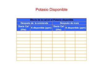 Potasio Disponible
Dosis Cal
(t/ha)
Dosis Cal
(t/ha)
2.0(T5) 72.7 a 3.5(T8) 62.2 a
4.0(T9) 64.7 a 4.0(T9) 54.5 ab
1.5(T4) 64.5 a 1.0(T3) 42.7 abc
2.5(T6) 64.0 a 2.0(T5) 41.0 abc
3.5(T8) 61.2 a 1.5(T4) 39.7 bc
1.0(T3) 58.2 a 2.5(T6) 36.2 bc
0.5(T2) 57.7 a 0.5(T2) 32.2 bc
0.0(T1) 55.0 a 3.0(T7) 29.5 c
3.0(T7) 52.7 a 0.0(T1) 23.5 c
Efecto de la cal en el Potasio disponible
Después de la enmienda Después de maíz
K disponible (ppm) K disponible (ppm)
 