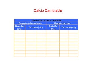 Calcio Cambiable
Dosis Cal
(t/ha)
Dosis Cal
(t/ha)
3.5(T8) 5.27 a 4.0(T9) 4.59 a
4.0(T9) 4.81 ab 2.0(T5) 4.06 ab
2.0(T5) 4.68 ab 3.0(T7) 4.04 ab
2.5(T6) 4.33 ab 3.5(T8) 4.01 ab
3.0(T7) 3.99 ab 2.5(T6) 3.63 ab
1.5(T4) 3.65 b 0.5(T2) 3.45 ab
1.0(T3) 3.55 b 1.5(T4) 3.31 ab
0.5(T2) 3.35 b 1.0(T3) 3.05 b
0.0(T1) 3.23 b 0.0(T1) 2.82 b
Contenidos de calcio cambiable
Después de la enmienda Después de maíz
Ca cmol(+) / kg Ca cmol(+) / kg
 