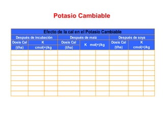 Potasio Cambiable
Dosis Cal Dosis Cal
(t/ha) (t/ha)
0.0 0.15 a 0.0 0.2 a 0.0 0.11 a
0.5 0.15 a 0.5 0.19 a 0.5 0.10 ab
1.0 0.13 a 1.0 0.18 a 1.0 0.10 ab
1.5 0.13 a 1.5 0.17 a 1.5 0.10 ab
2.0 0.13 a 2.0 0.14 a 2.0 0.10 ab
2.5 0.12 a 2.5 0.11 a 2.5 0.10 ab
3.0 0.12 a 2.0 0.11 a 3.0 0.10 ab
3.5 0.11 a 3.5 0.11 a 3.5 0.09 b
4.0 0.11 a 4.0 0.09 a 4.0 0.09 b
Efecto de la cal en el Potasio Cambiable
Después de soya
K mol(+)/kg
Dosis Cal
(t/ha)
K
cmol(+)/kgcmol(+)/kg
Después de incubación Después de maíz
K
 