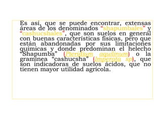 Es así, que se puede encontrar, extensas
áreas de los denominados “shapumbales” y
“cashucshales”, que son suelos en general
con buenas características físicas, pero que
están abandonadas por sus limitaciones
químicas y donde predominan el helecho
“Shapumba” (Pteridium aquilinum) o la
gramínea “cashucsha” (Imperata sp), que
son indicadoras de suelos ácidos, que no
tienen mayor utilidad agrícola.
 