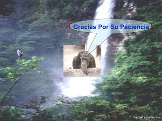 ¡ Gracias Por Su Paciencia !
© 2003 RENGIFO S.A.
 