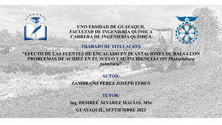 UNIVERSIDAD DE GUAYAQUIL
FACULTAD DE INGENIERÍA QUÍMICA
CARRERA DE INGENIERÍA QUÍMICA
TRABAJO DE TITULACIÓN
"EFECTO DE LAS FUENTES DE ENCALADO EN PLANTACIONES DE BALSA CON
PROBLEMAS DE ACIDEZ EN EL SUELO Y SU INCIDENCIA CON Phytophthora
palmivora"
AUTOR:
ZAMBRANO PEREZ JOSEPH EFREN
TUTOR:
Ing. DESIREÉ ÁLVAREZ MACÍAS, MSc
GUAYAQUIL, SEPTIEMBRE 2023
 