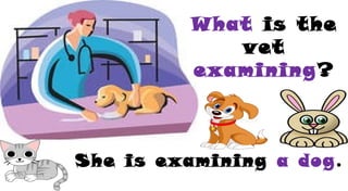 What is the
vet
examining?
She is examining a dog.
 