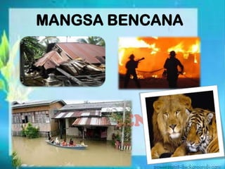 MANGSA BENCANA
MANGSA BENCANA
 