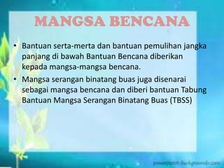 MANGSA BENCANA
• Bantuan serta-merta dan bantuan pemulihan jangka
panjang di bawah Bantuan Bencana diberikan
kepada mangsa-mangsa bencana.
• Mangsa serangan binatang buas juga disenarai
sebagai mangsa bencana dan diberi bantuan Tabung
Bantuan Mangsa Serangan Binatang Buas (TBSS)
 