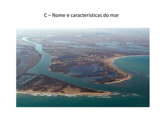 C – Nome e características do mar
 