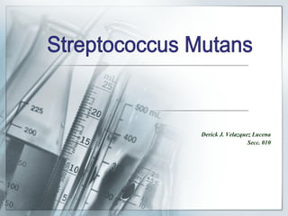 Derick J. Velazquez Lucena Secc. 010 Streptococcus Mutans 