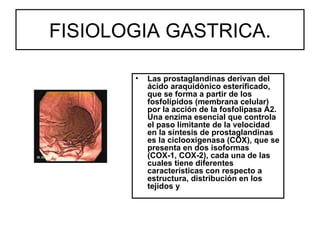 FISIOLOGIA GASTRICA.

       •   Las prostaglandinas derivan del
           ácido araquidónico esterificado,
           que se forma a partir de los
           fosfolípidos (membrana celular)
           por la acción de la fosfolipasa A2.
           Una enzima esencial que controla
           el paso limitante de la velocidad
           en la síntesis de prostaglandinas
           es la ciclooxigenasa (COX), que se
           presenta en dos isoformas
           (COX-1, COX-2), cada una de las
           cuales tiene diferentes
           características con respecto a
           estructura, distribución en los
           tejidos y
 