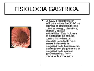FISIOLOGIA GASTRICA.
        •   La COX-1 se expresa en
            múltiples tejidos La COX-1 se
            expresa en múltiples tejidos
            como estómago, plaquetas,
            riñones y células
            endoteliales. Esta isoforma
            es expresada de manera
            constitutiva y tiene un
            cometido importante en el
            mantenimiento de la
            integridad de la función renal,
            la agregación plaquetaria y la
            integridad de la mucosa
            gastrointestinal. Por el
            contrario, la expresión d
 