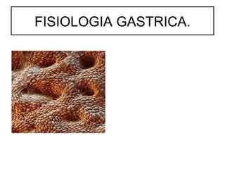 FISIOLOGIA GASTRICA.
 