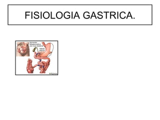 FISIOLOGIA GASTRICA.
 