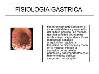 FISIOLOGIA GASTRICA.

        •   tienen un cometido central en el
            sistema de defensa y reparación
            del epitelio gástrico . La mucosa
            gástrica contiene abundantes
            niveles de prostaglandinas. Estos
            metabolitos del ácido
            araquidónico regulan la
            liberación de bicarbonato y moco
            en la mucosa, inhiben la
            secreción de las células
            parietales y son importantes en el
            mantenimiento del flujo
            sanguíneo mucoso y la
 