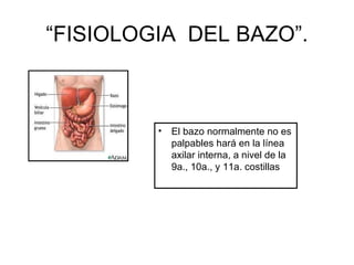 “FISIOLOGIA DEL BAZO”.



         •   El bazo normalmente no es
             palpables hará en la línea
             axilar interna, a nivel de la
             9a., 10a., y 11a. costillas
 