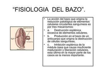 “FISIOLOGIA DEL BAZO”.
         •   La acción del bazo que origina la
             reducción patológica de elementos
             celulares circulantes sanguíneos es
             por tres mecanismos:
         •   a.    Destrucción esplénica
             excesiva de elementos celulares.
         •   b.    Producción en el bazo de un
             anticuerpo que origina la destrucción
             de células sanguíneas,
         •   c.    Inhibición esplénica de la
             médula ósea que causa insuficiente
             maduración y liberación celulares,
             esta última en la mayor parte de los
             casos es la menos importante.
 