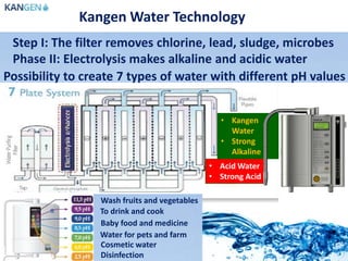 • Kangen
Water
• Strong
Alkaline
• Acid Water
• Strong Acid
Kangen Water Technology
Step I: The filter removes chlorine, lead, sludge, microbes
Phase II: Electrolysis makes alkaline and acidic water
Possibility to create 7 types of water with different pH values
Wash fruits and vegetables
To drink and cook
Baby food and medicine
Cosmetic water
Disinfection
Water for pets and farm
 