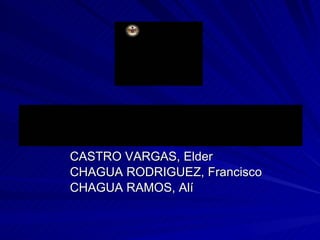 CASTRO VARGAS, Elder CHAGUA RODRIGUEZ, Francisco CHAGUA RAMOS, Alí 